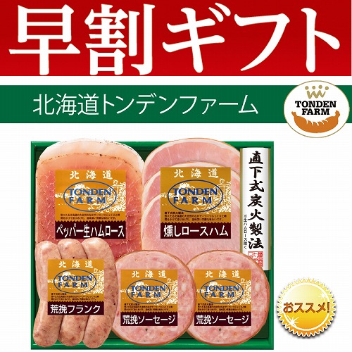 【期間限定・早割】