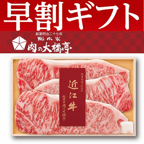 【期間限定・早割】