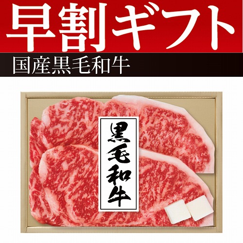 【期間限定・早割】