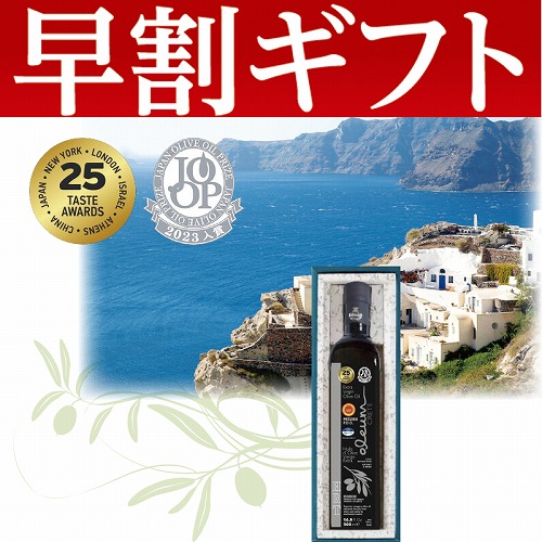 【期間限定・早割】