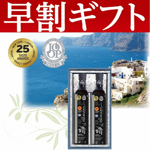 【期間限定・早割】