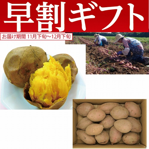 【期間限定・早割】