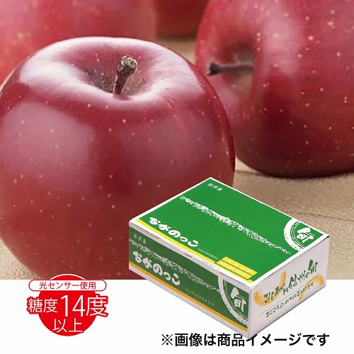 ながのっこサンふじりんご３ｋｇ