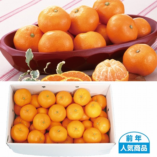 愛媛みかん３ｋｇ