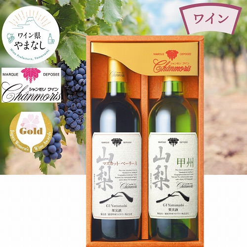 シャンモリ　ＧＩ山梨