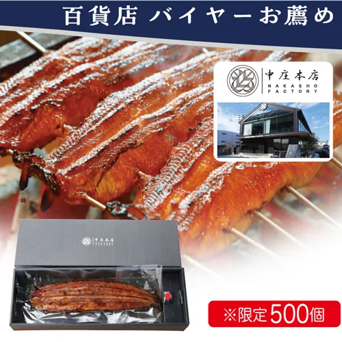 【バイヤーお薦め】