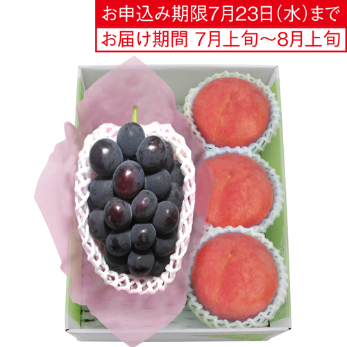 旬のぶどう＆糖度センサー選別水蜜桃