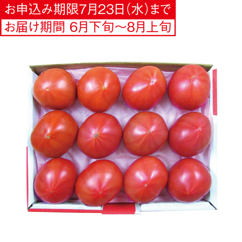 アメーラトマト