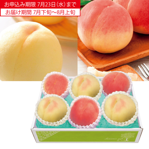 山梨県　御坂の水蜜桃大玉