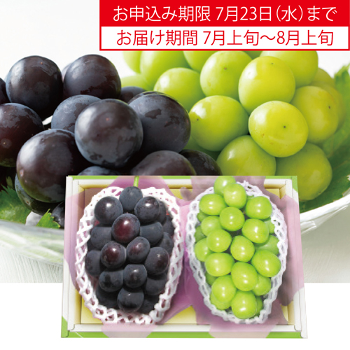 シャインマスカット＆種無し黒ぶどう