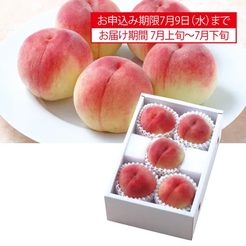 サン・フルーツ