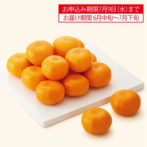 サン・フルーツ