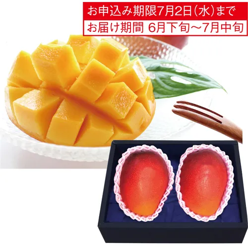 宮崎・沖縄県産マンゴー