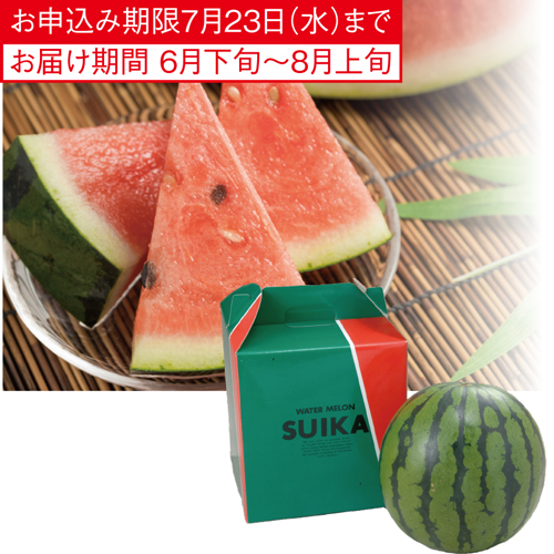 スイカ