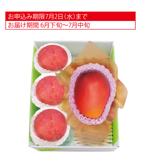 宮崎県又は沖縄県産