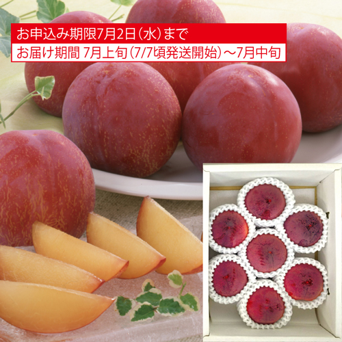 ふえふきの貴陽（すもも）