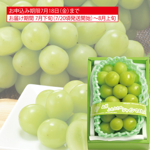 匠の葡萄（ハウスシャインマスカット）