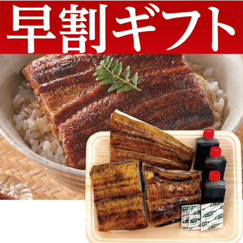 【期間限定・早割】