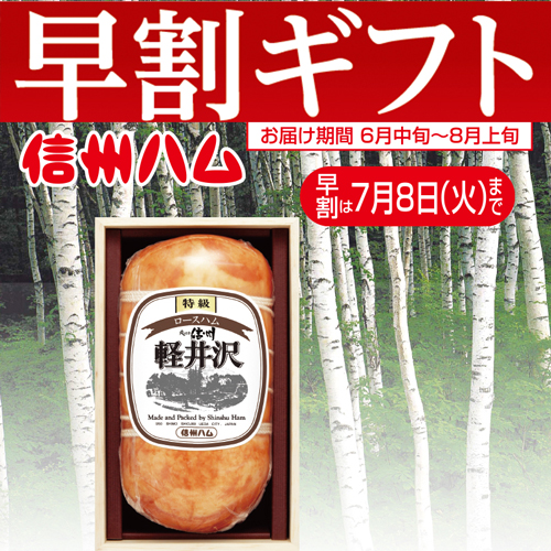 【期間限定・早割】