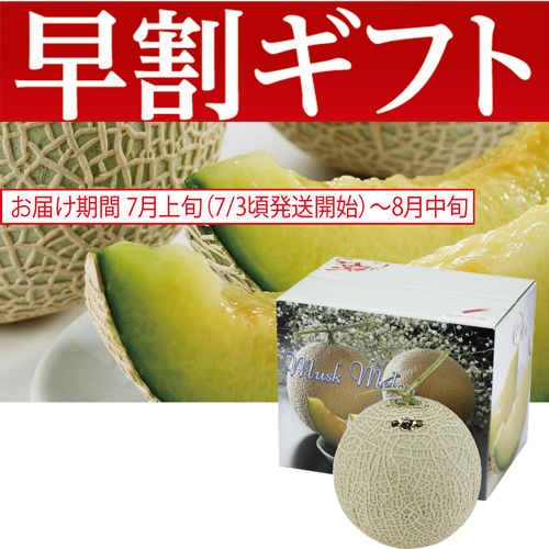 【期間限定・早割】