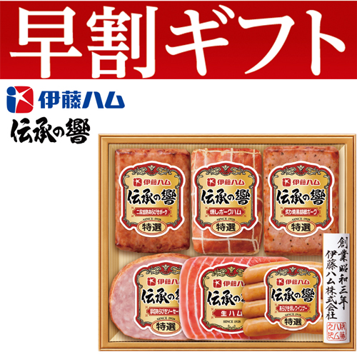 【期間限定・早割】