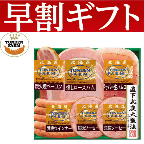 【期間限定・早割】