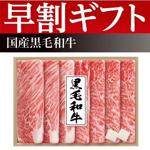 【期間限定・早割】