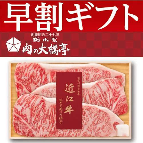 【期間限定・早割】