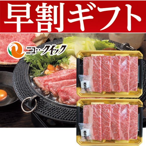 【期間限定・早割】