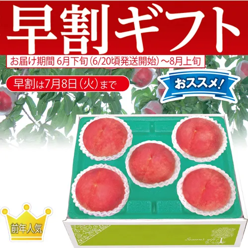 【期間限定・早割】