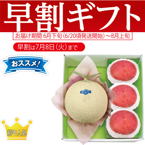 【期間限定・早割】