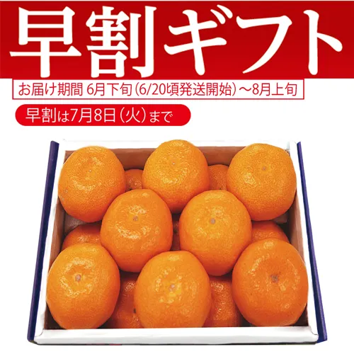 【期間限定・早割】