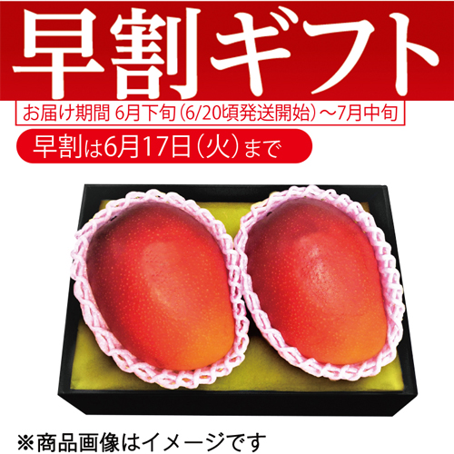 【期間限定・早割】