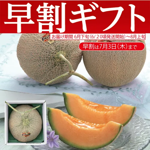 【期間限定・早割】