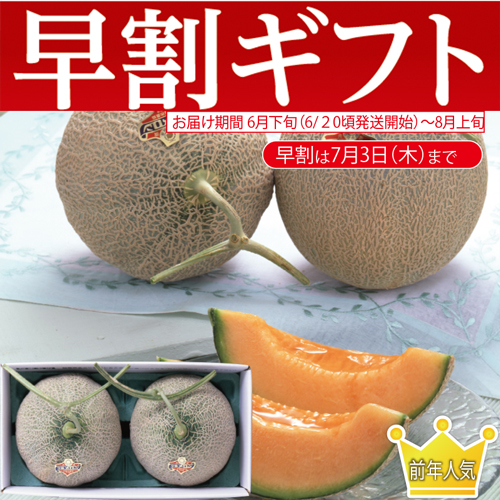 【期間限定・早割】