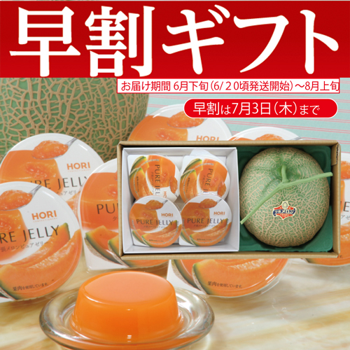 【期間限定・早割】