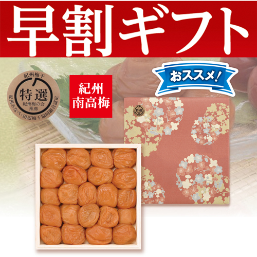 【期間限定・早割】