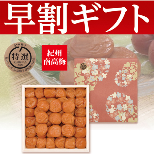 【期間限定・早割】