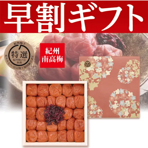 【期間限定・早割】