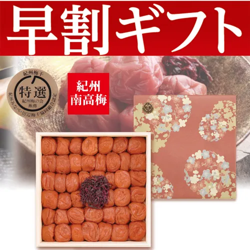 【期間限定・早割】