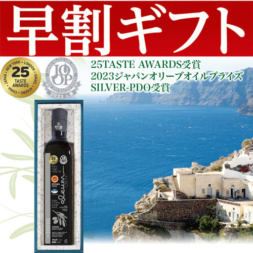 【期間限定・早割】