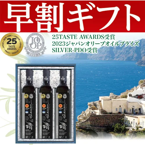 【期間限定・早割】