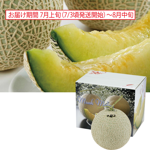 愛知県産マスクメロン１個