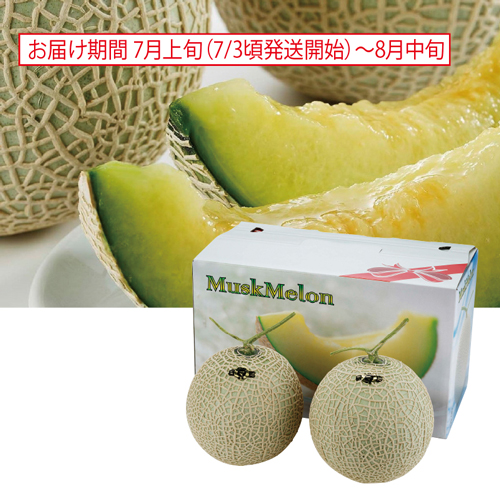愛知県産マスクメロン２個