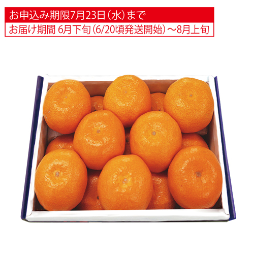 大分県又は佐賀県産