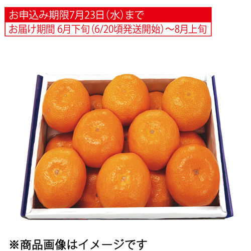 大分県又は佐賀県産