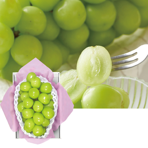 【季節の特薦品】