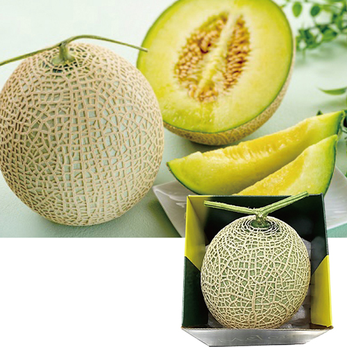 【季節の特薦品】