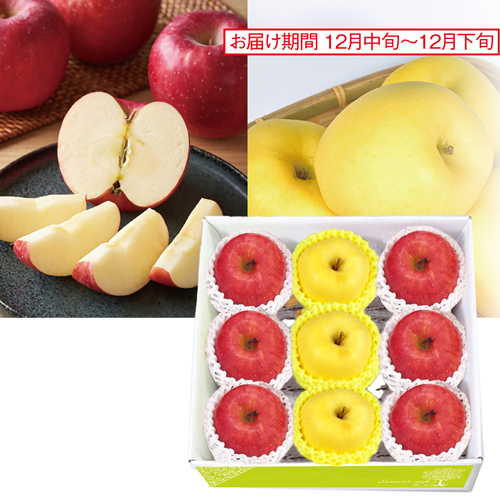 サンふじりんご＆純情りんご