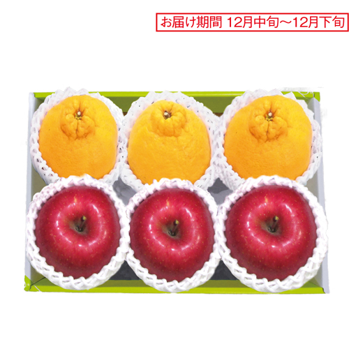 デコポン＆サンふじりんご